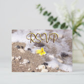 RSVP Guest Reply Enclosure Seashells, Plumeria (Staand voorkant)