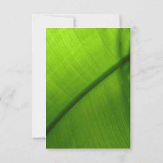 RSVP-reactiekaart 1 RSVP Kaartje (Achterkant)