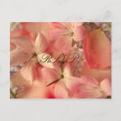 RSVP, romantische roze bloemen Uitnodiging Briefkaart (Voorkant)