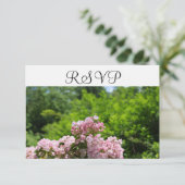 RSVP Roze Mountain Laurel Bloemen (Staand voorkant)