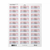 RSVP-schijven Roze Blush Return Address Holograaf Etiket (Full Sheet)