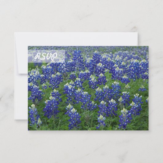 RSVP Texas Bluebonnets Foto op zwarte Kaarten (Voorkant)