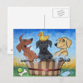 Rub a dub dub 3 Labs in Tub Postcard Briefkaart (Voorkant / Achterkant)