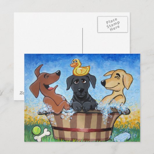 Rub a dub dub 3 Labs in Tub Postcard Briefkaart (Voorkant / Achterkant)