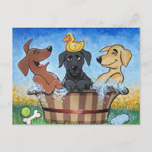 Rub a dub dub 3 Labs in Tub Postcard Briefkaart (Voorkant)