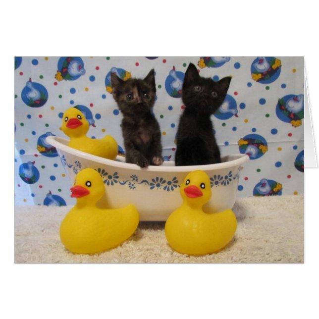 Rub A Dub Dub Katten and Ducks in a Tub (Voorkant Horizontaal)