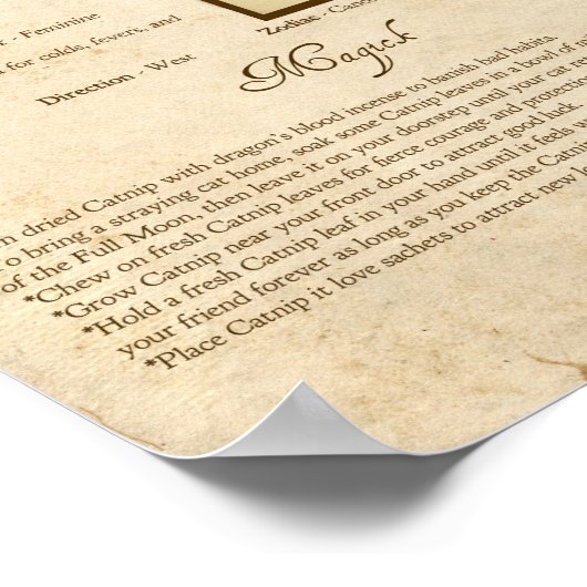 RUB VAN DE MAGICK POSTER (Hoek)