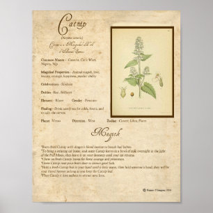 RUB VAN DE MAGICK POSTER