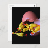 Rubber Chicken Hatchling Briefkaart (Voorkant / Achterkant)