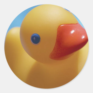 Rubber Duck Close-up Ronde Sticker