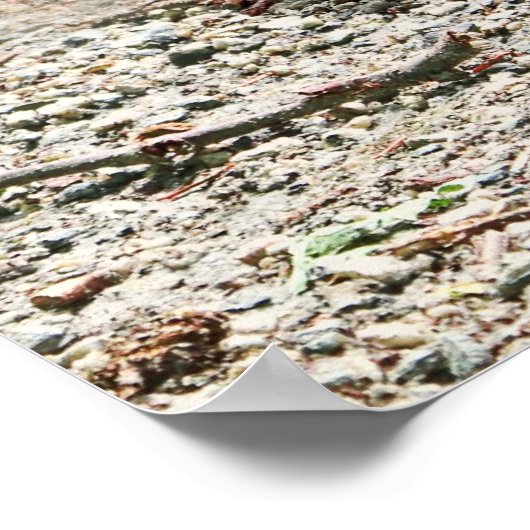 Rubber Duck en Moeder Duck Poster (Hoek)