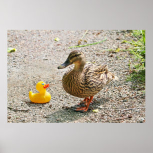 Rubber Duck en Moeder Duck Poster