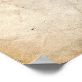 Rubber Duck Patent Poster (Hoek)