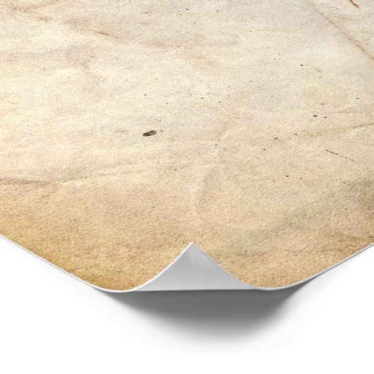 Rubber Duck Patent Poster (Hoek)