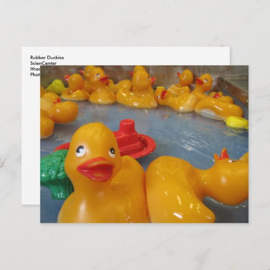 Rubber Duckies Briefkaart (Voorkant / Achterkant)