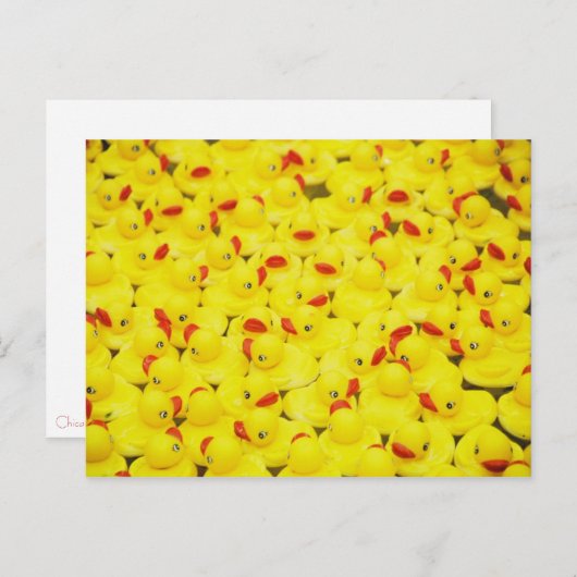 Rubber Duckies Briefkaart (Voorkant / Achterkant)