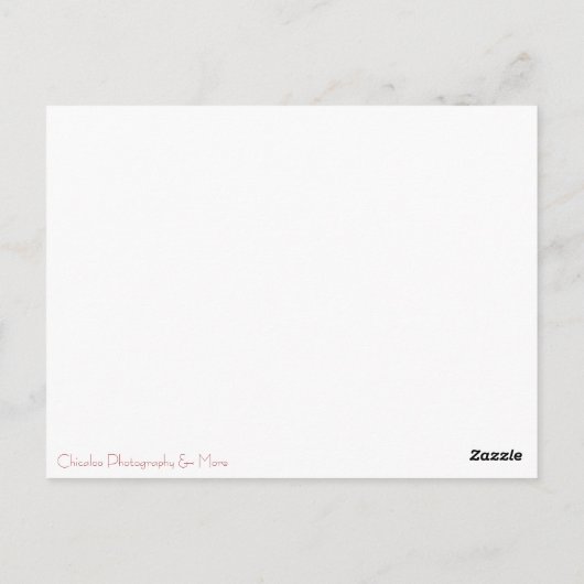 Rubber Duckies Briefkaart (Achterkant)