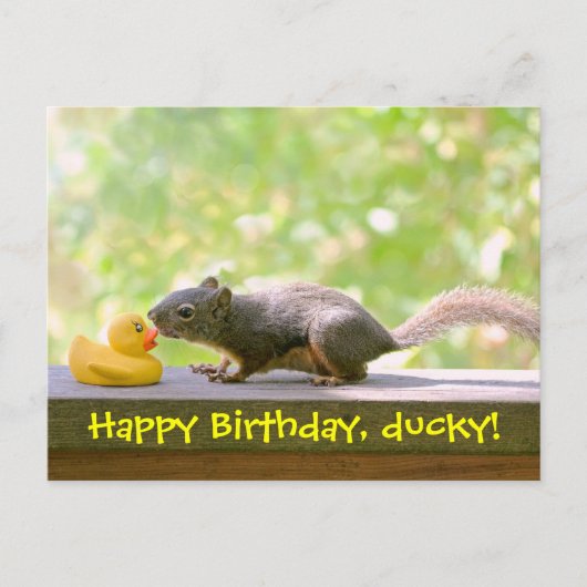 Rubber Ducky en Squirrel Kissing Briefkaart (Voorkant)