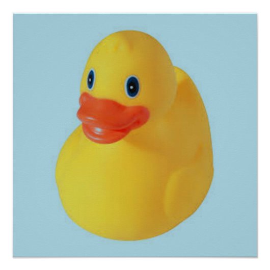 Rubber Ducky Perfect Poster (Voorkant)