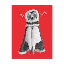 Rubber kip Santa Briefkaart