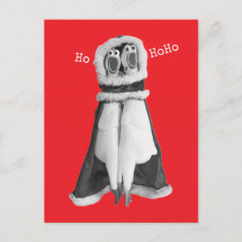 Rubber kip Santa Briefkaart