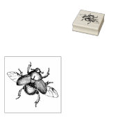 Rubber stempel met  Kever (Gestempeld)