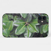 Rubber Tree Closeup Case-Mate iPhone Case (Achterkant (horizontaal))