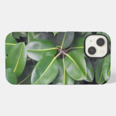 Rubber Tree Closeup iPhone Hoesje (Achterkant horizontaal)