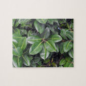 Rubber Tree Closeup Legpuzzel (Horizontaal)