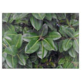 Rubber Tree Closeup Snijplank (Voorkant)