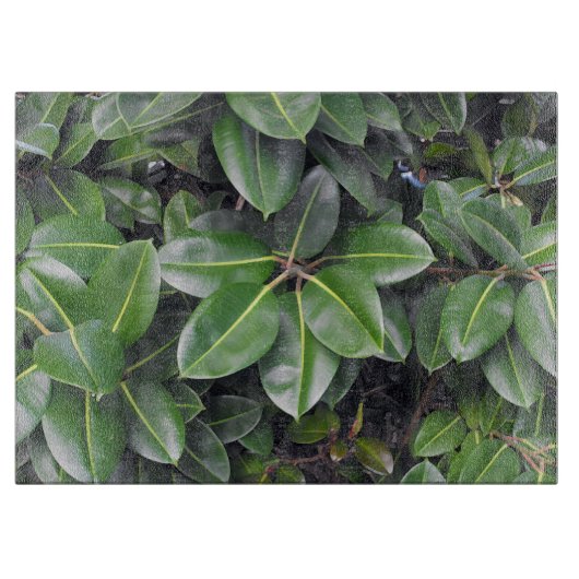 Rubber Tree Closeup Snijplank (Voorkant)