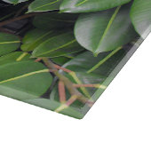 Rubber Tree Closeup Snijplank (Hoek)