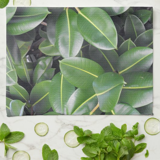 Rubber Tree Closeup Theedoek (Gevouwen)