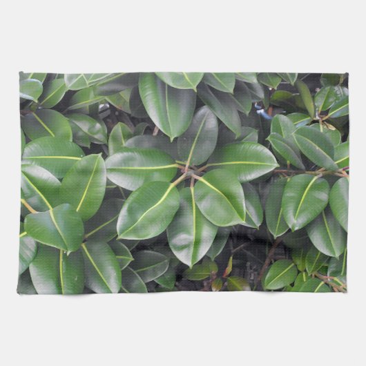 Rubber Tree Closeup Theedoek (Horizontaal)