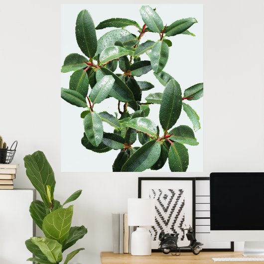 RUBBER TREE GEDROOGD IN RAINDROPS POSTER (Thuiskantoor)