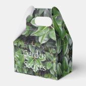 Rubber Tree Leaf Patroon Bedankdoosjes (Achterkant)