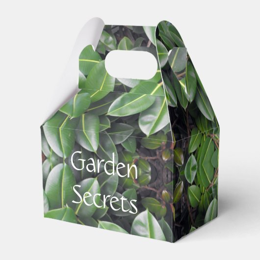 Rubber Tree Leaf Patroon Bedankdoosjes (Voorkant Zijde)