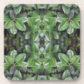 Rubber Tree Leaf Patroon Drankjes Onderzetter (Voorkant)