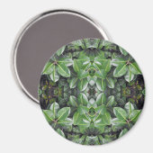 Rubber Tree Leaf Patroon Magneet (Voorkant / Achterkant)