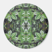 Rubber Tree Leaf Patroon Magneet (Voorkant)