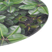 Rubber Tree Leaf Patroon Snijplank (Hoek)