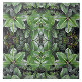 Rubber Tree Leaf Patroon Tegeltje (Voorkant)