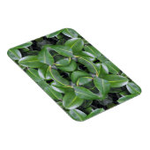 Rubber Tree Patroon Magneet (Rechterzijde)