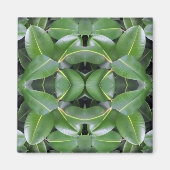 Rubber Tree Patroon Magneet (Voorkant)