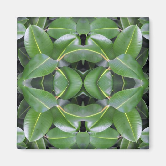 Rubber Tree Patroon Magneet (Voorkant)