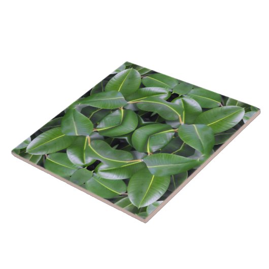 Rubber Tree Patroon Tegeltje (Zijkant)
