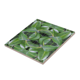 Rubber Tree Patroon Tegeltje