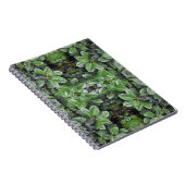 Rubberboom Blad Patroon Notitieboek (Rechterzijde)