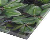 Rubberboom Blad Patroon Snijplank (Hoek)