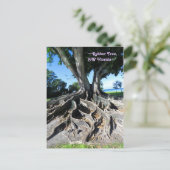 Rubberboom Curvy roots Fort Myers Briefkaart (Staand voorkant)